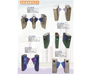 昌邑智能通道翼闸系列